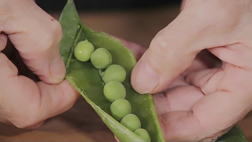 Shelling Peas and Fava Beans